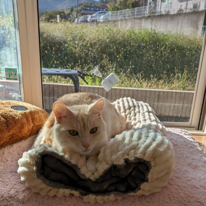 447ebb28 8054 4d75 a640 33ecb6ffdff1 1697584018953