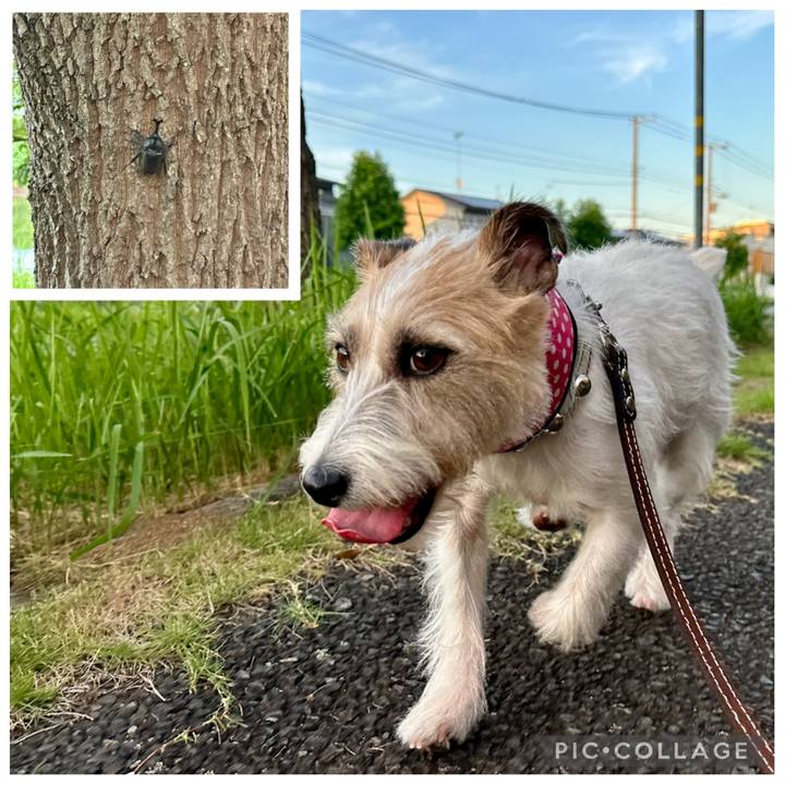 447ec948 192f 45b6 84eb 7e66e644c276 1753732047299