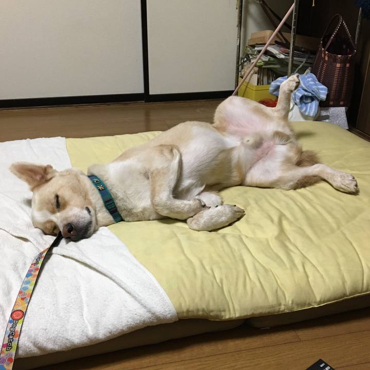 447ecf43 bbdc 4cab 8b46 b62e58317873 1536594733861