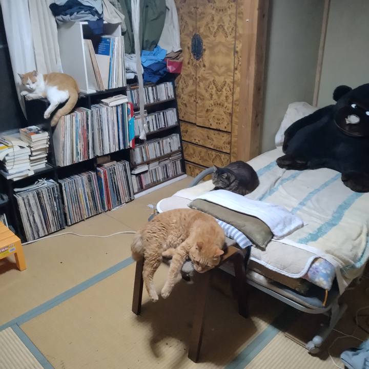 447f0634 f0c0 4eb1 aff3 55486ccccece 1750852480946