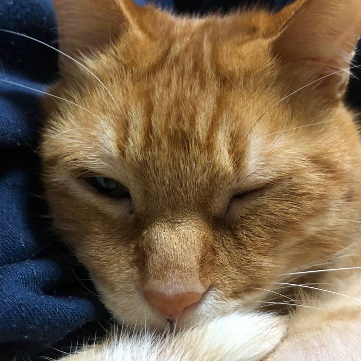 447f1b77 8765 4fed a57d 5e2481e8b1fd 1733646706116