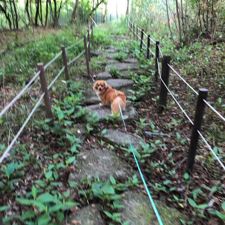 447f1ef1 24b5 445e a84f 874d2a38b2fa 1531612635160