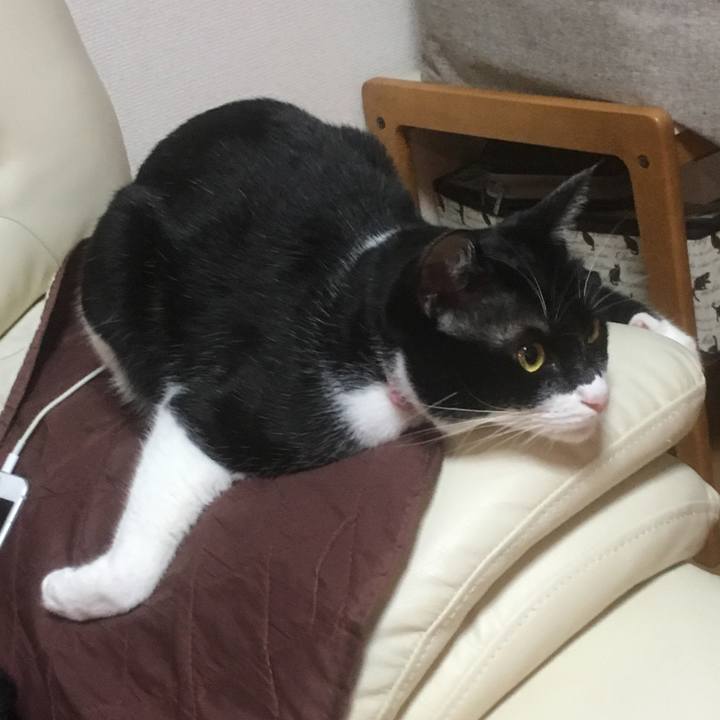 447f3748 197e 47b4 aa4b 59f2444be859 1550815356460