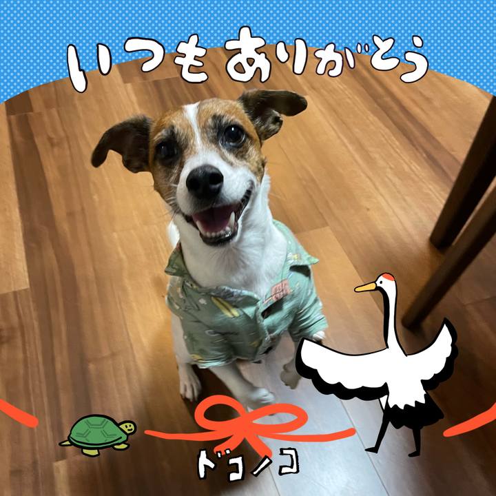 447f5ccf 43b6 4e71 be7f 522d8762b605 1727255883816