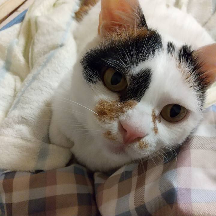 447f905f 19c4 4374 889b 46c302634a6a 1589464311387