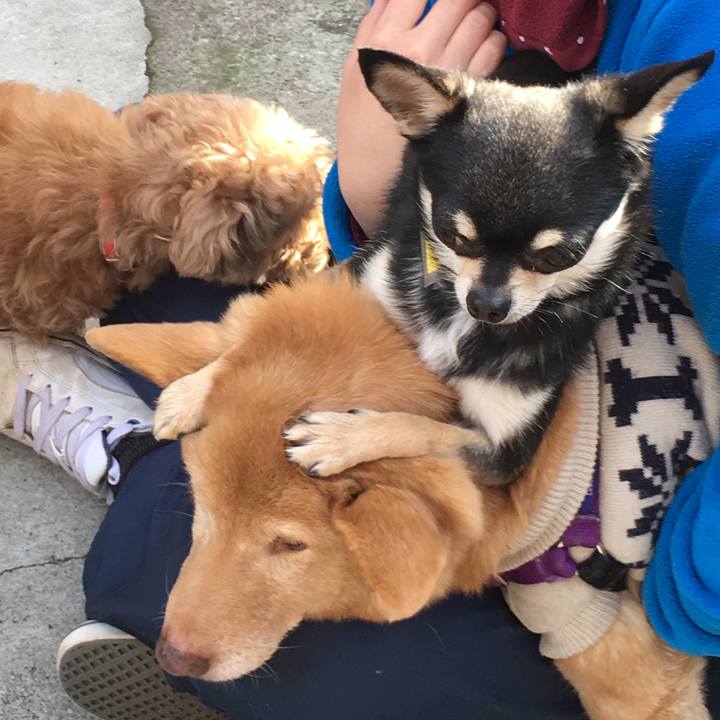 447f992a 232a 4f36 8842 39566e1d5493 1518686487055