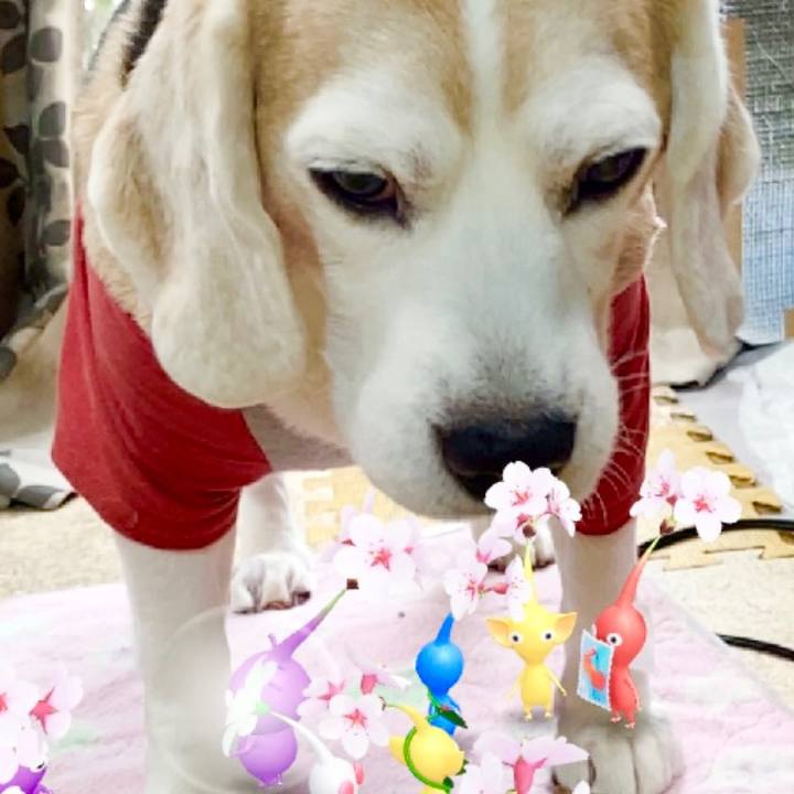 447f9b94 e502 43a2 981c 549d3602827a 1649906812545