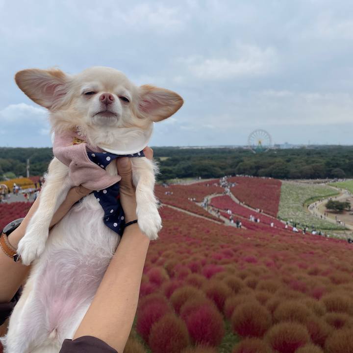 447fd017 09cc 482c 8732 fa269bf3c19f 1729950352862