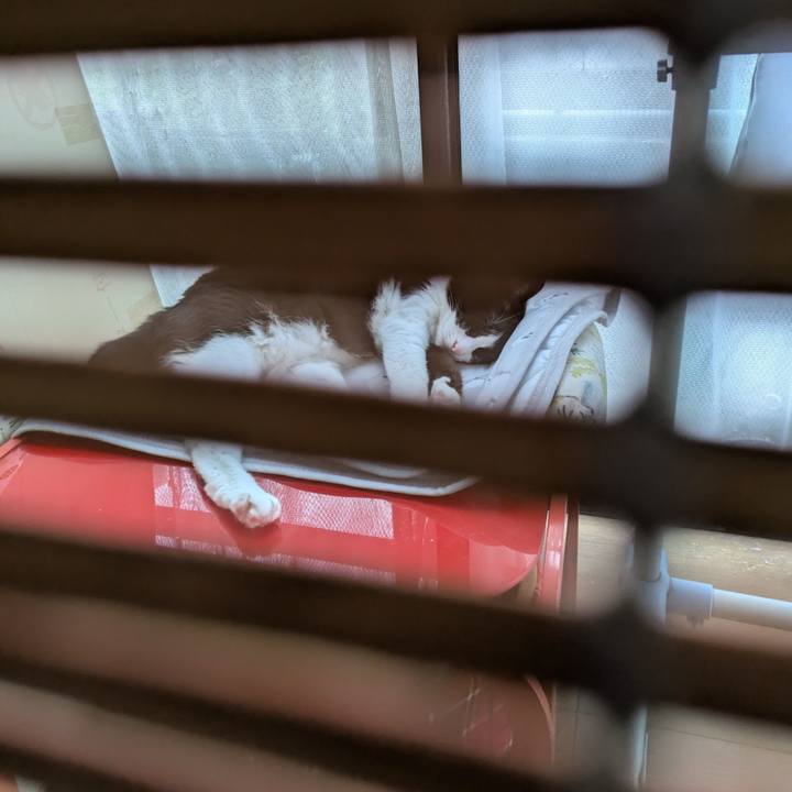 447fe302 9493 4489 b513 9e6810a64c6c 1751348341398