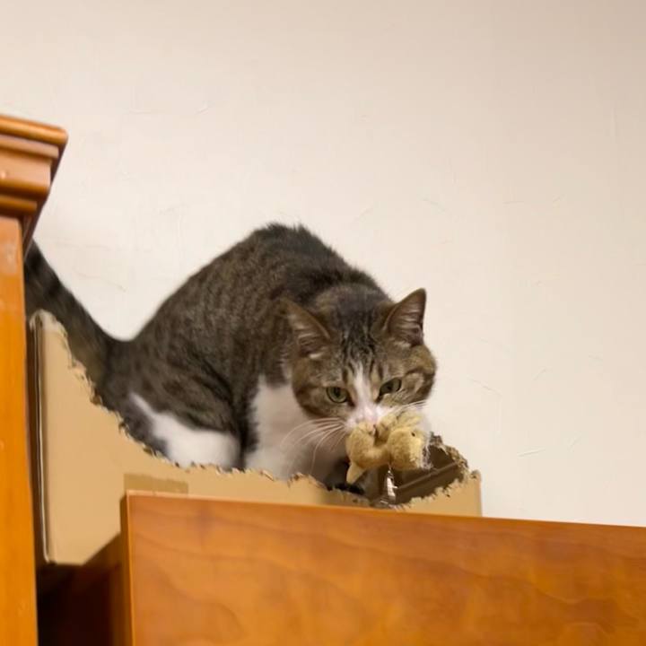 448024ef a7ea 491d 9b5e 4983fd7c37e6 1749890195568