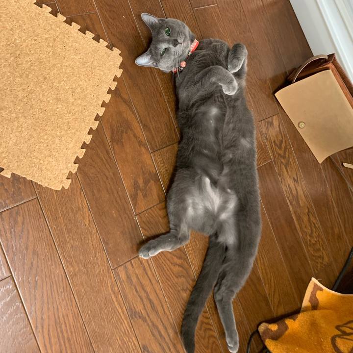 4480537c 2766 417e a54e 21134a385b7f 1590994218746