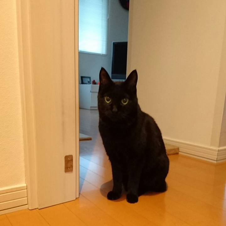 44808847 6374 4d2f a8ef faa0c83b5607 1511733909853