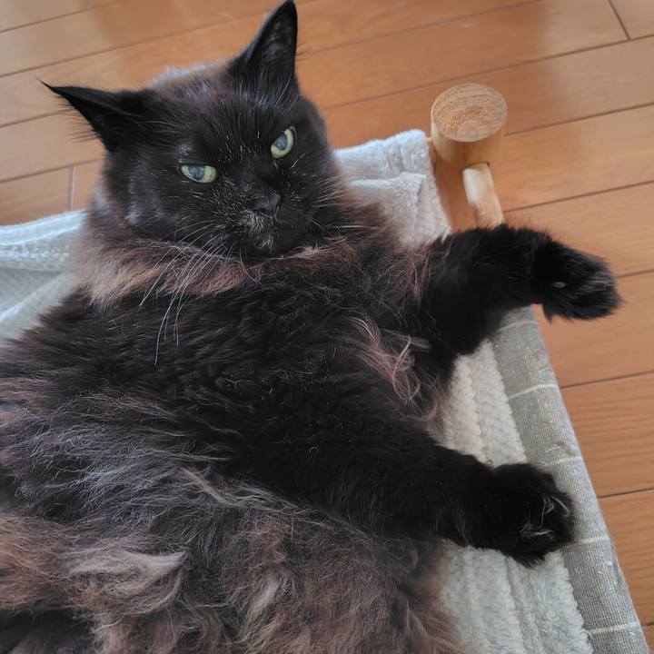 4480abd8 6b21 4d54 b097 b58d9716a0db 1742515297385