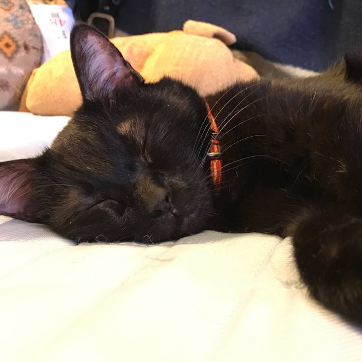 4480bcb9 d0ba 4a15 9552 4ed24502249d 1528961561060