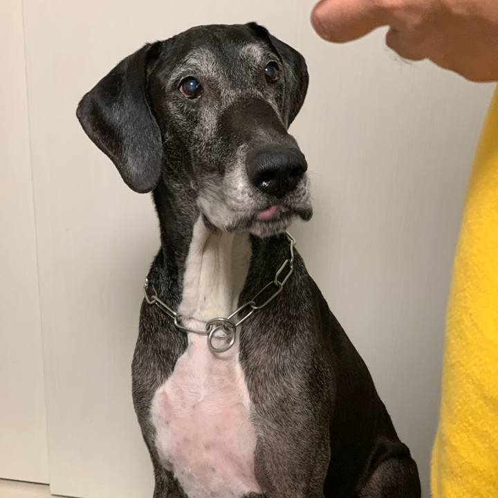 4480c2dc 5711 47f8 97b3 02246f36677f 1604225630926