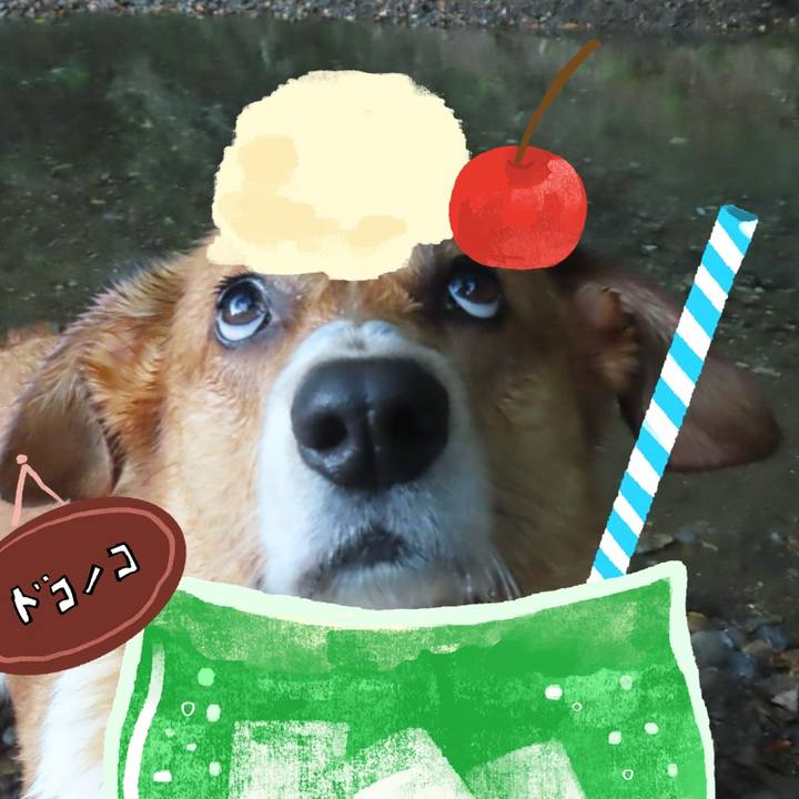 4480d028 5adf 44e1 b25e 5c924f327c30 1755309136616