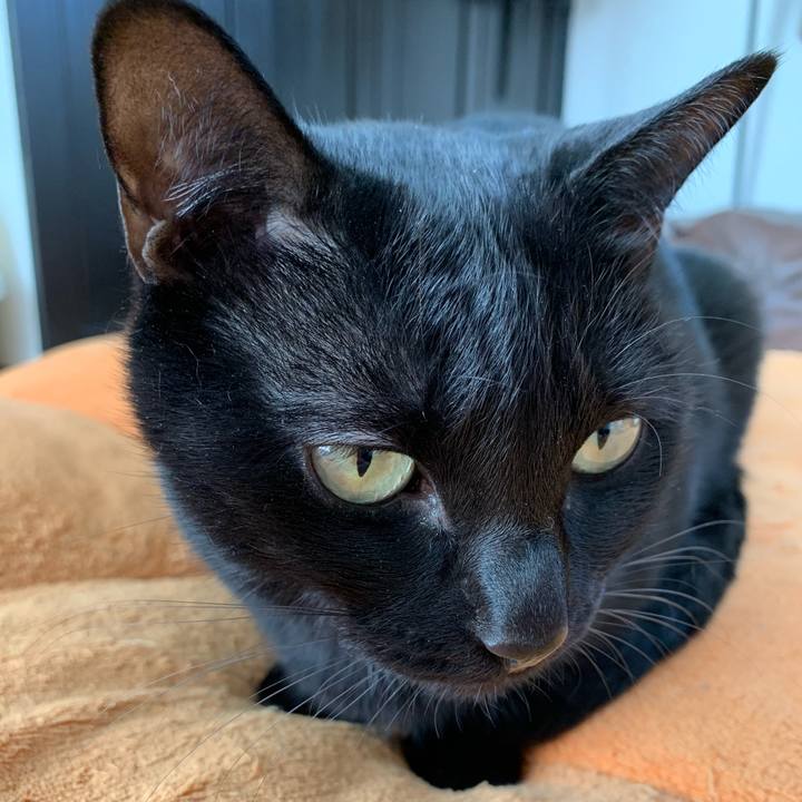 448158ba b518 4a72 859d f454ba194cd6 1573264878858