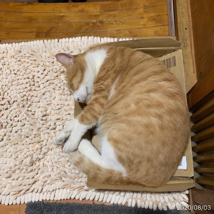 448168ab f99f 4307 8b2a e5eb33930024 1596461703183