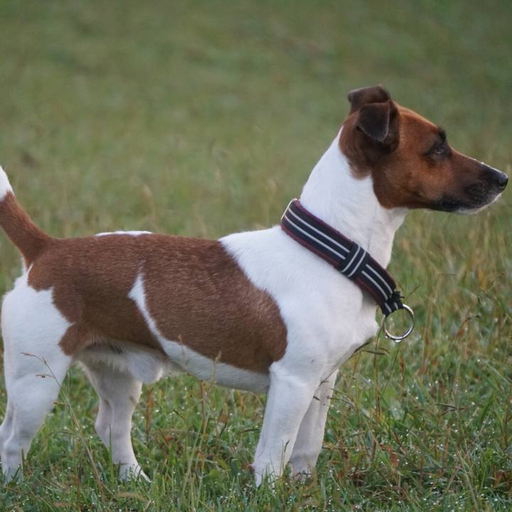 44818424 3150 4597 baec d001f39aae9d 1509145698365