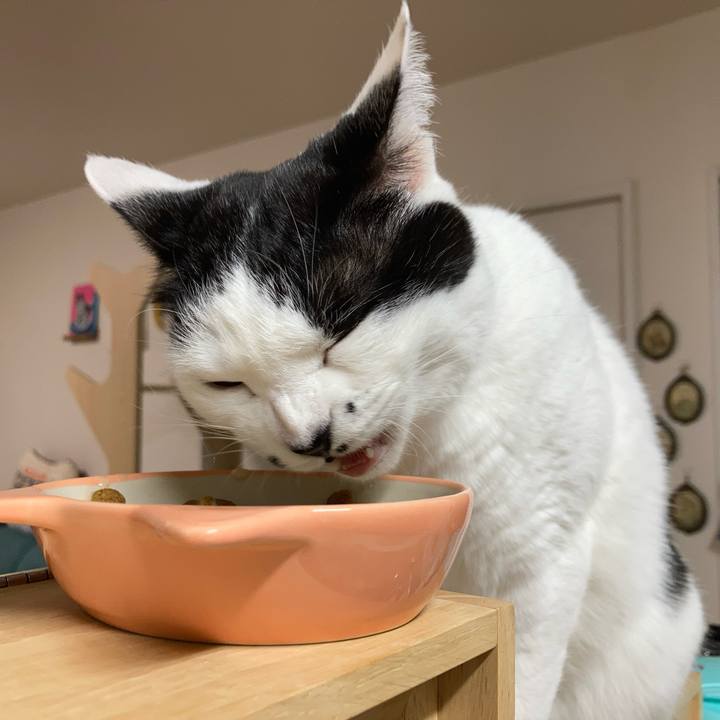 4481989b 5c89 4dd5 9350 d889b3bf8958 1767993550000