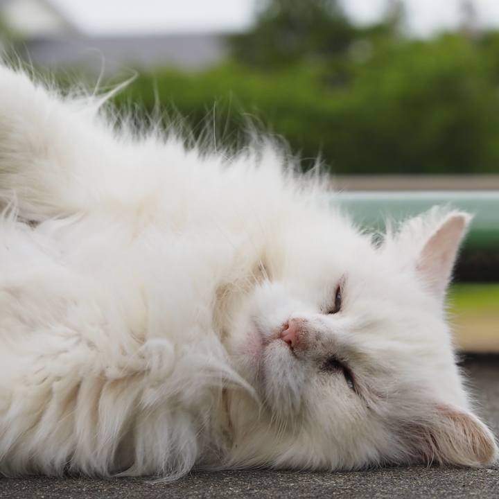 44819e9d 5d99 4612 b548 164446dba1bc 1624694592945