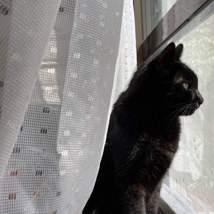 4481a305 36da 46de 9fbb 9df283cb3d57 1651456960591