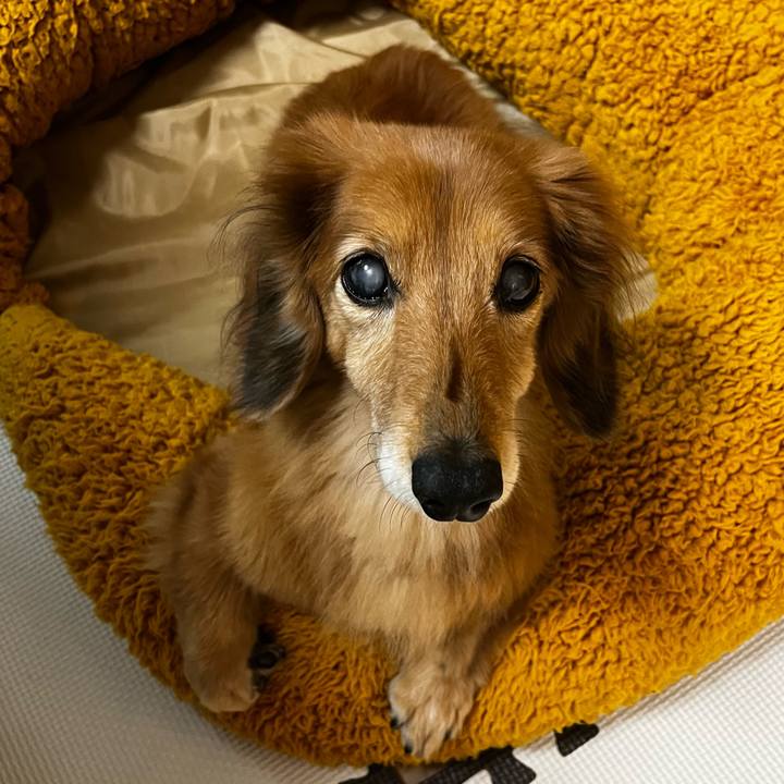 4481b7f4 5a35 4916 a56d df3c904c8ae0 1667129367396