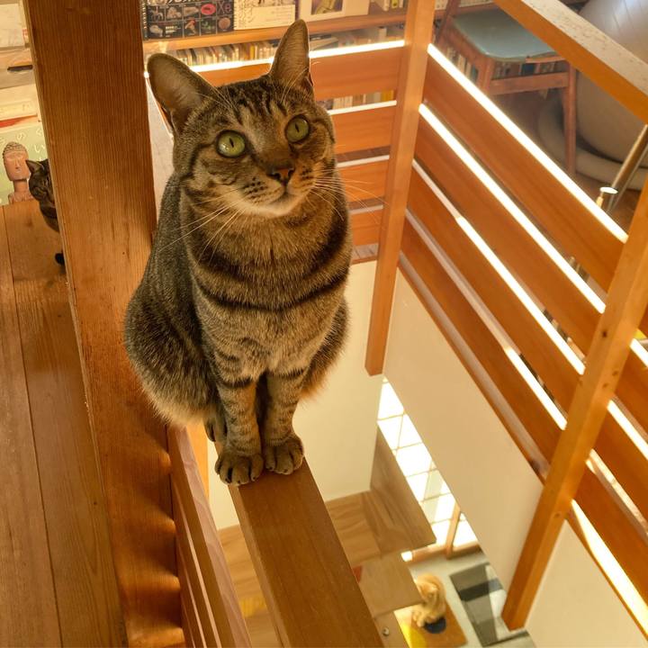 4481ee43 fb65 4124 b764 f1582b123027 1710332437175