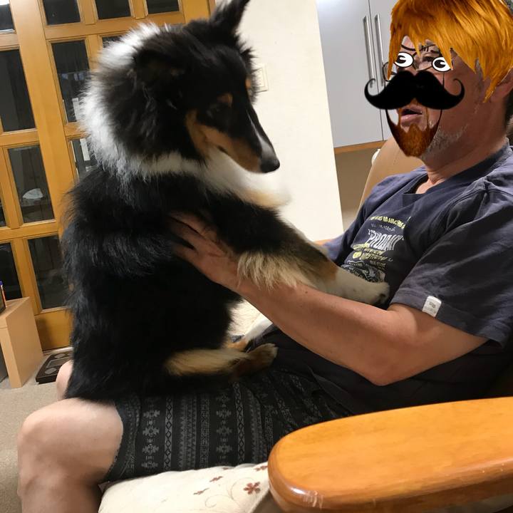 44820623 9441 4a9a a769 6fba869b6de3 1535406513914