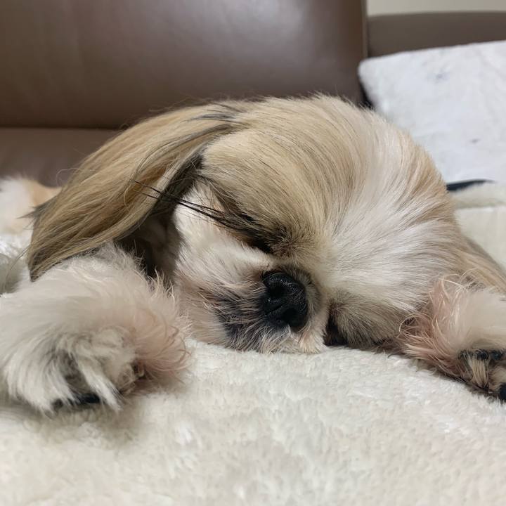 44821889 5078 46f2 8882 af30b287b914 1704367824339