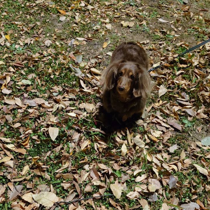 44823514 73c4 476d ba82 e2d3b4517756 1731334521348