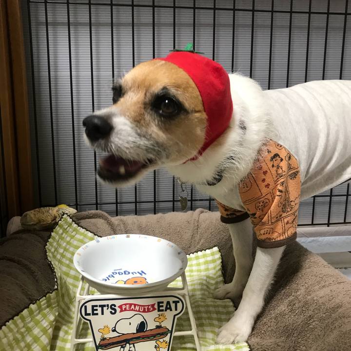 44824888 66a7 49c7 8860 7cf717e09fa2 1529744559332