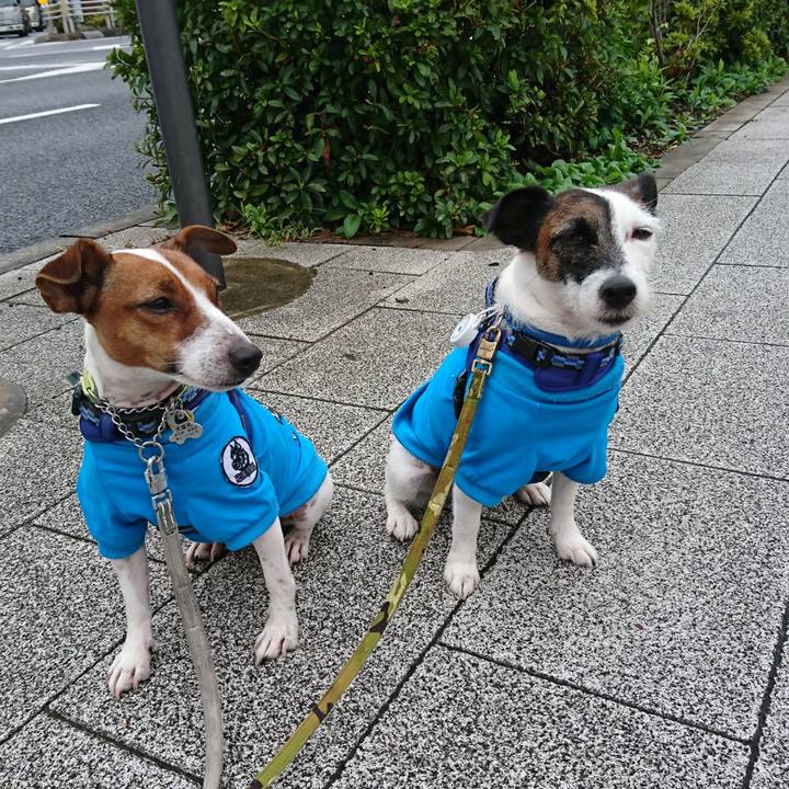 448269e9 c420 42eb 952d 6040b69d7c4c 1571448686331