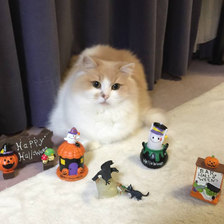 44826e57 7d86 4d5a 9a83 461a21aef789 1508421543819