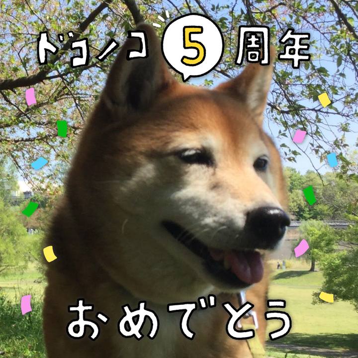 44826eaf ae00 4612 b3ec 7dc4d178c07e 1622857653090