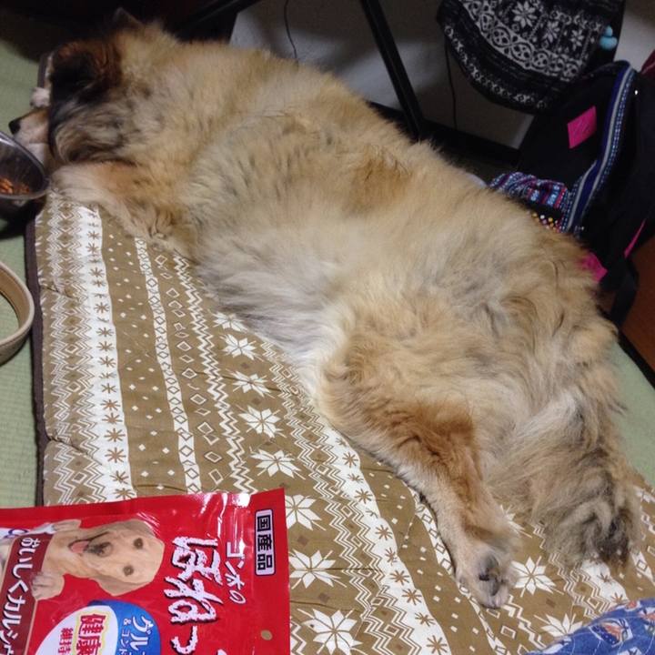 44827c5a bf52 48fe b3d4 4d0846ac1700 1556191710758