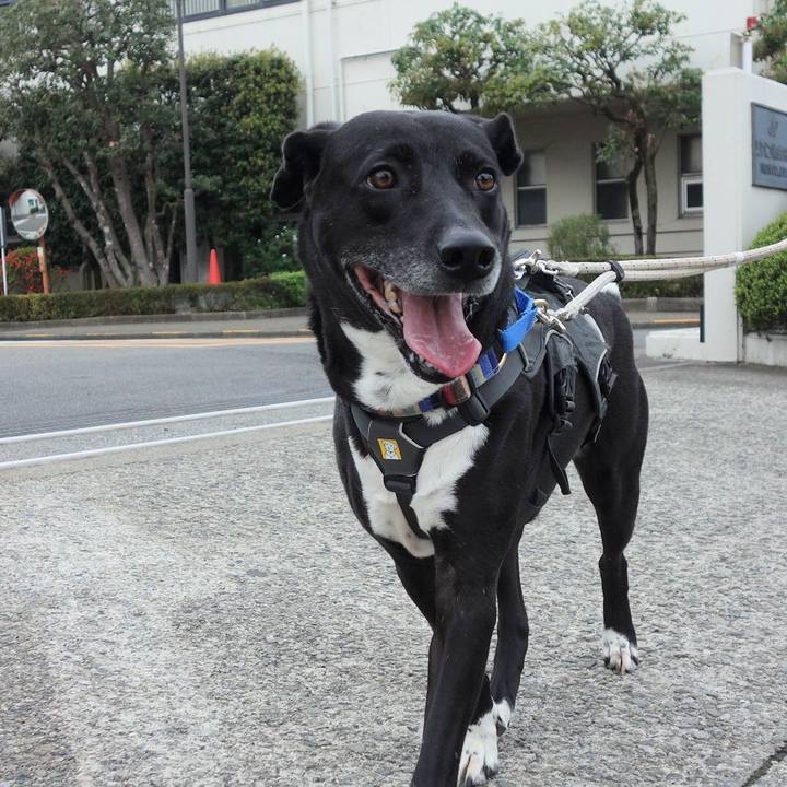 448283d5 272c 4700 a341 3e6299efd02b 1650675403155