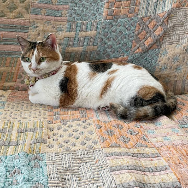 44828814 8b52 458e a8b2 0d2a513e4316 1649806661922