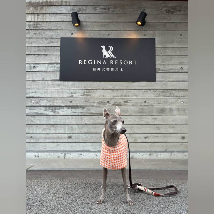 448291e4 7308 45ab b14c f2c3fd5531ef 1776587803757