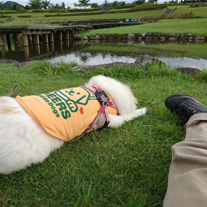 4482b8e6 a73c 434a 925c 922ac24577b3 1536736461415