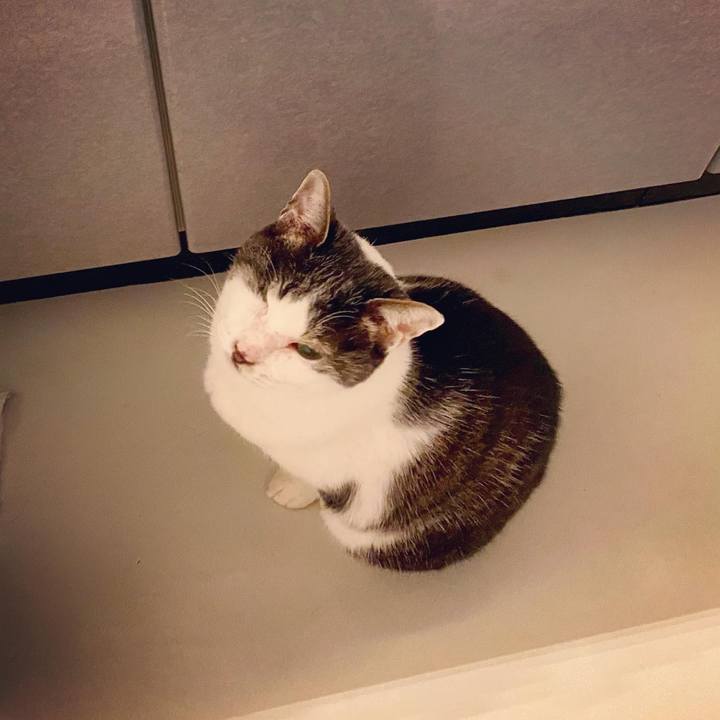 4482de88 b1ea 43d1 ac1e d5a64768b81c 1611662476626