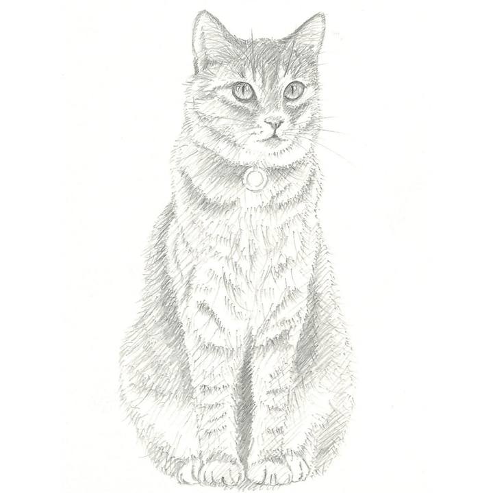 4482fc5b 9035 4b31 88de 137a0a04cc82 1534494115616