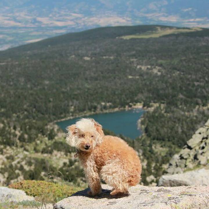 448303ce 3997 40b5 a749 d5e3ad68dc85 1562599258308