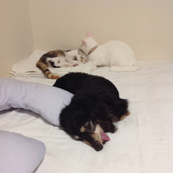 4483176c 7330 4a40 9352 860a976ce30e 1630321784355