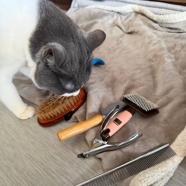 4483387c 6c47 4d65 ace6 cbd9c2c17492 1773548727593