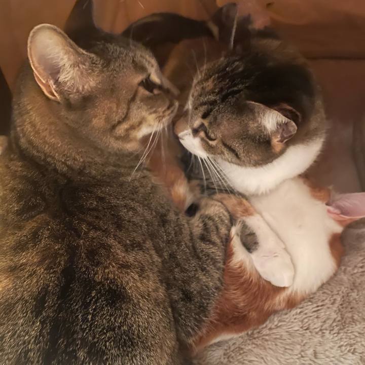 4483406c 7401 4d2f 8524 9284c3a71072 1737378137097