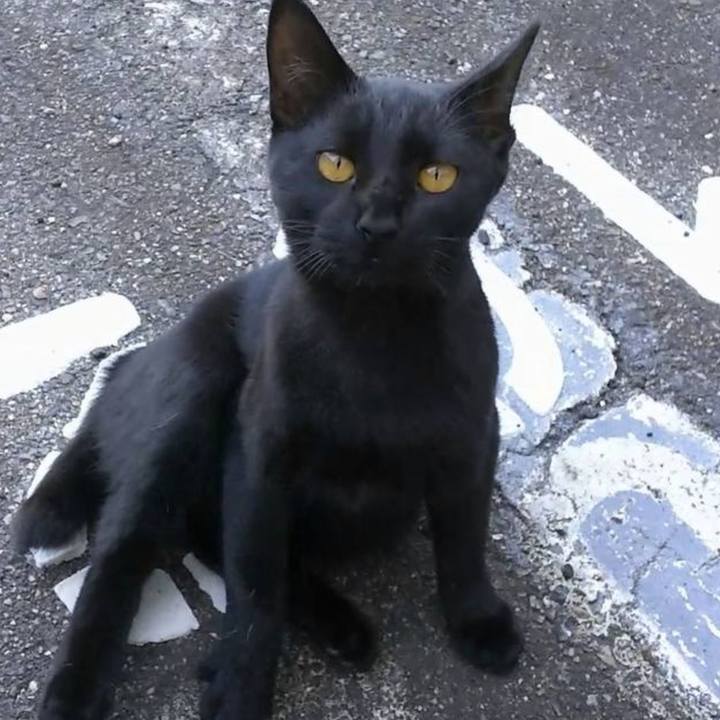 448348ba 0980 48eb 9923 d0bec94c3205 1608967553217