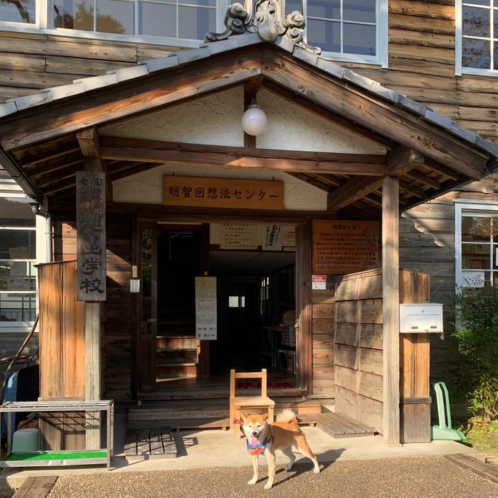 44835c77 2843 4590 a04f 994ae00e36f8 1572606246496