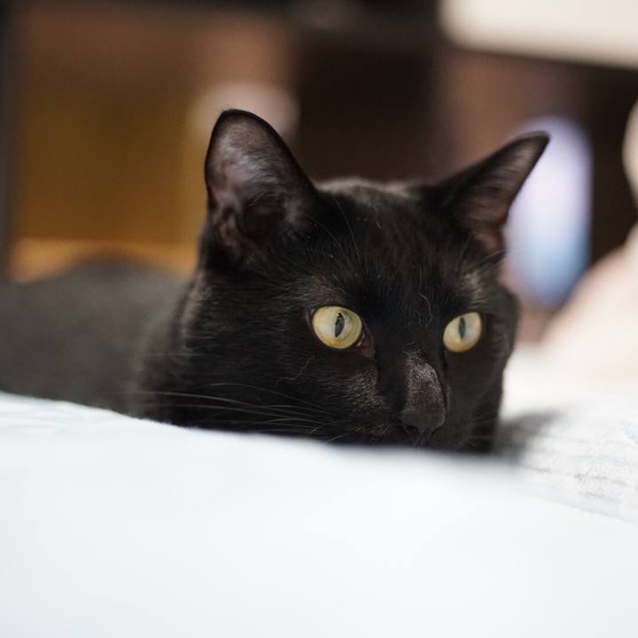 44836c2e c58d 4f44 811a b6ecec611f27 1529591331605