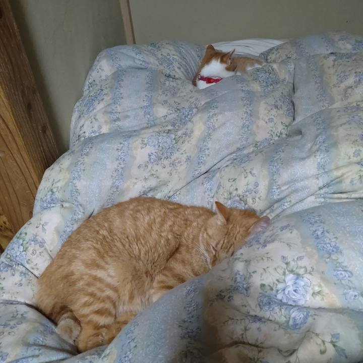 44838a3d d924 4582 aaf6 498928295342 1760097000489